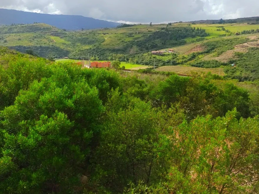 Lote de 10.000 m² en venta en Villa de Leyva – foto 3