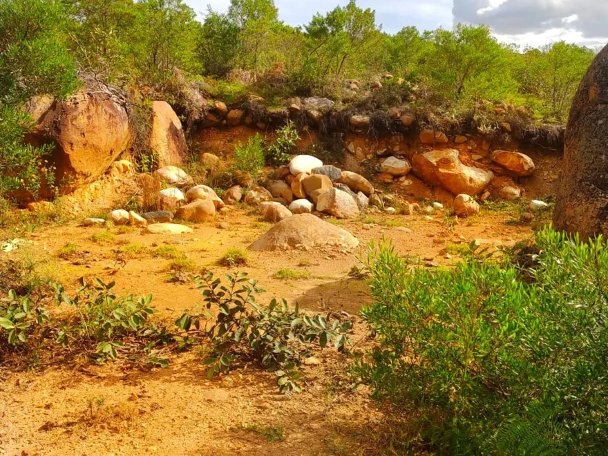Lote de 10.000 m² en venta en Villa de Leyva – foto 4