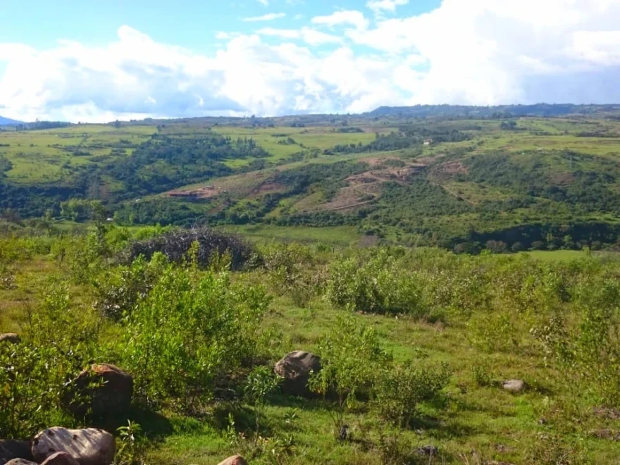 Lote de 10.000 m² en venta en Villa de Leyva – foto 5