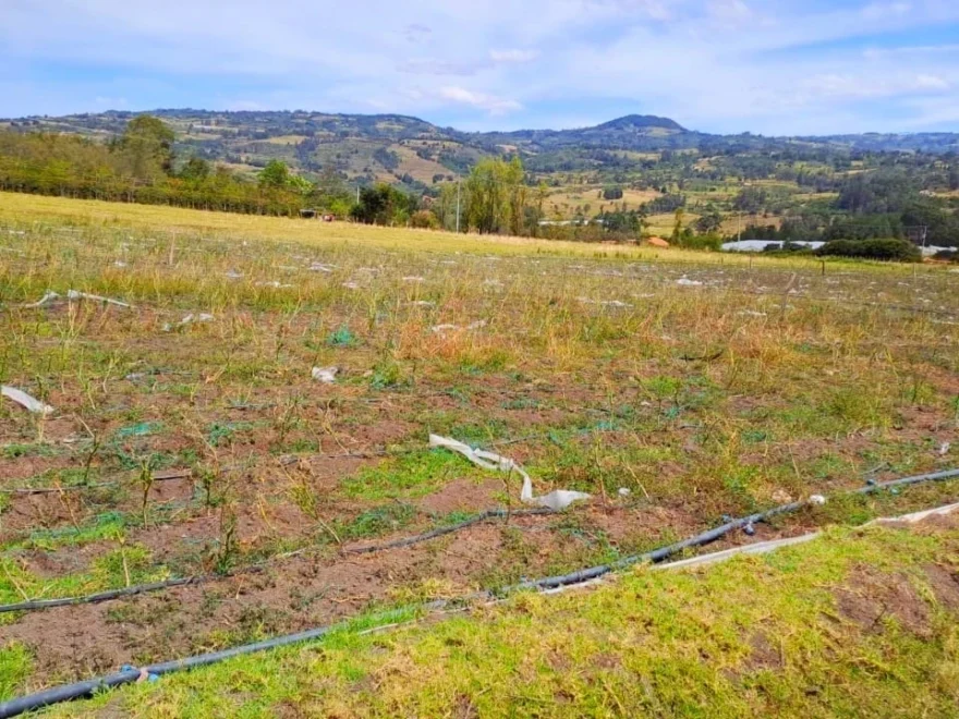 10,000 m² lot for sale in Sabana, Villa de Leyva – foto 2