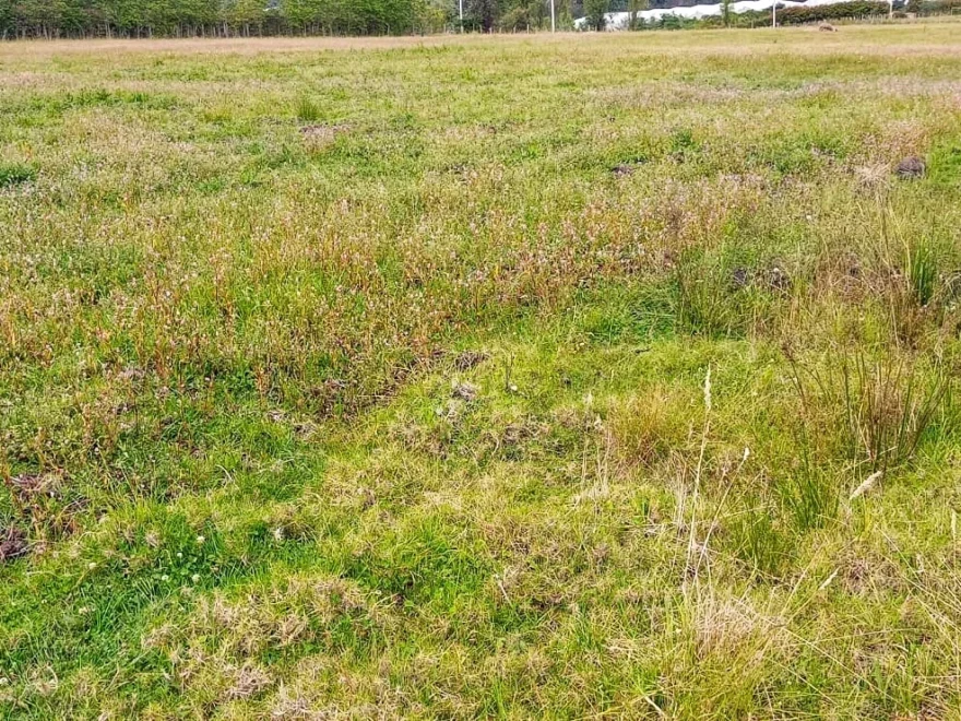 10,000 m² lot for sale in Sabana, Villa de Leyva – foto 4