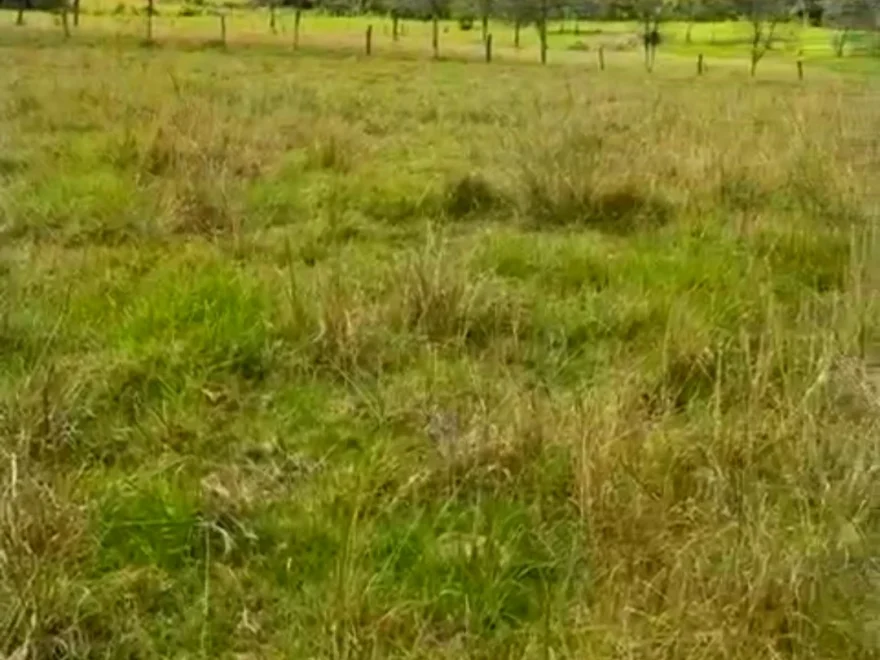 18,000 m² lot for sale in Vereda Llano Blanco, Villa de Leyva – foto 4