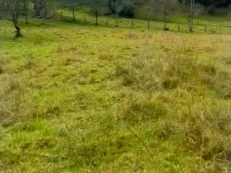 18,000 m² lot for sale in Vereda Llano Blanco, Villa de Leyva – foto 7
