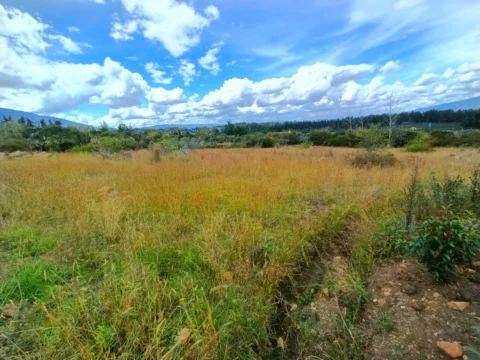 Lote de 3.000 m² en venta en Vereda Sabana, Villa de Leyva – foto 3