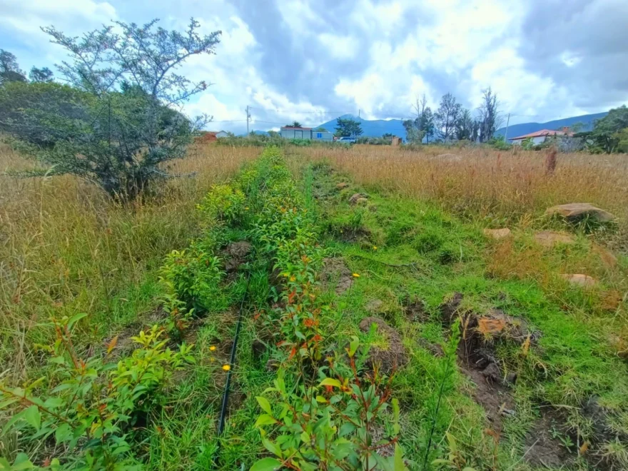 3,000 m² lot for sale in Vereda Sabana, Villa de Leyva – foto 4