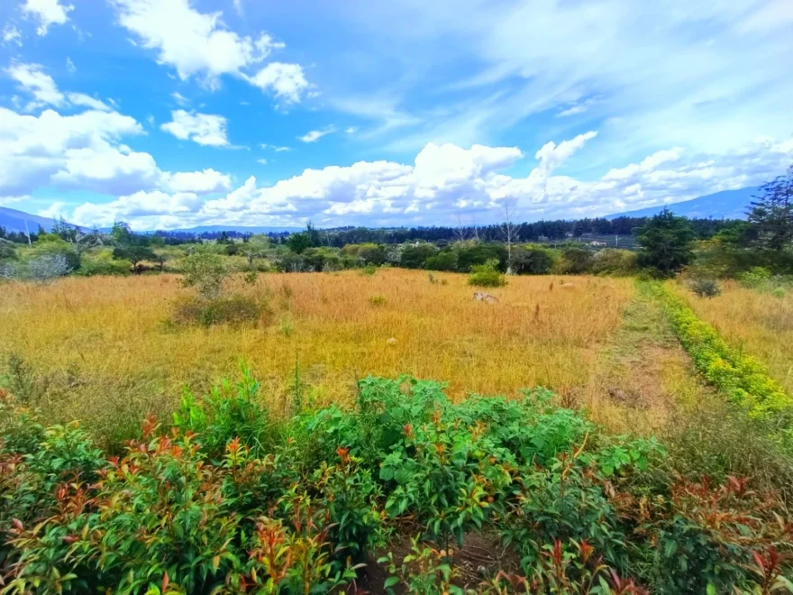 3,000 m² lot for sale in Vereda Sabana, Villa de Leyva – foto 6