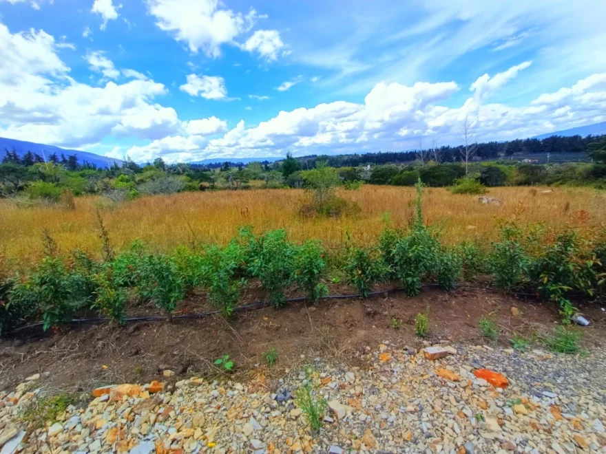 3,000 m² lot for sale in Vereda Sabana, Villa de Leyva – foto 7