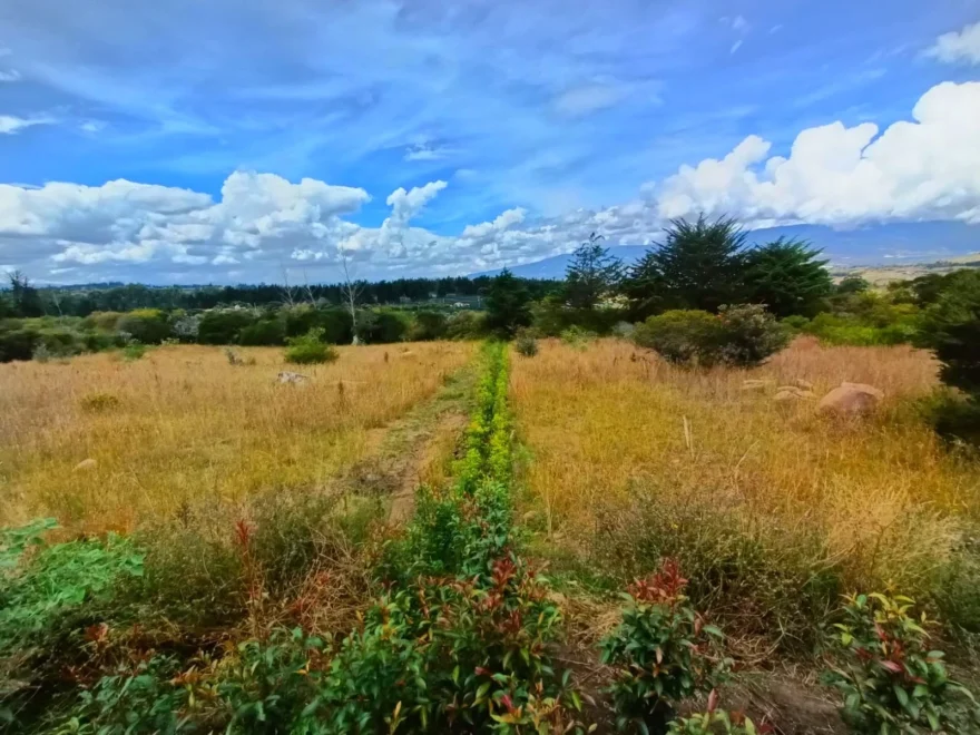 3,000 m² lot for sale in Vereda Sabana, Villa de Leyva – foto 8