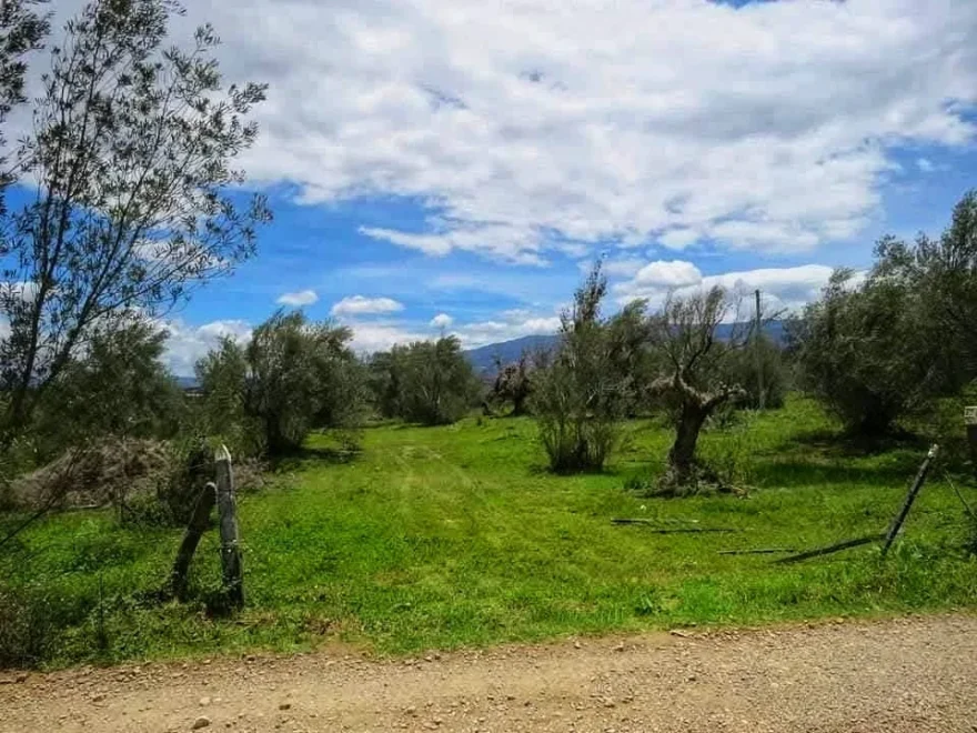 Lote de 5.300 m² en venta en Vereda Monquirá, Villa de Leyva – foto 2