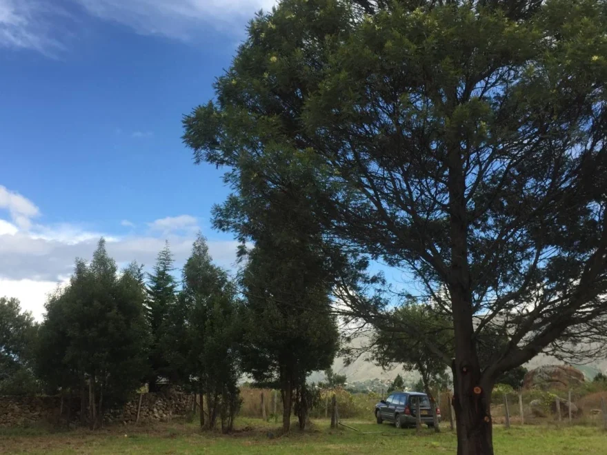 Lote de 6.000 m² en venta en Vereda Monquirá, Villa de Leyva