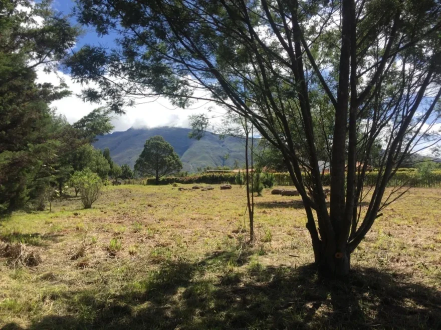 Lote de 6.000 m² en venta en Vereda Monquirá, Villa de Leyva – foto 3