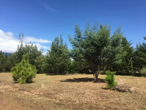 Lote de 6.000 m² en venta en Vereda Monquirá, Villa de Leyva – foto 5