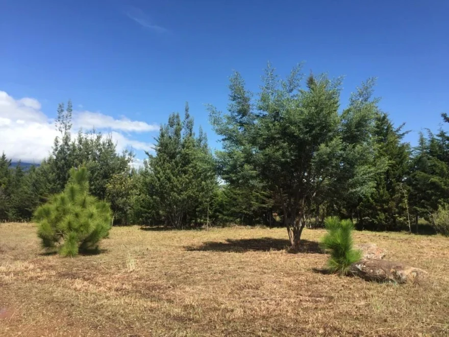 Lote de 6.000 m² en venta en Vereda Monquirá, Villa de Leyva – foto 5
