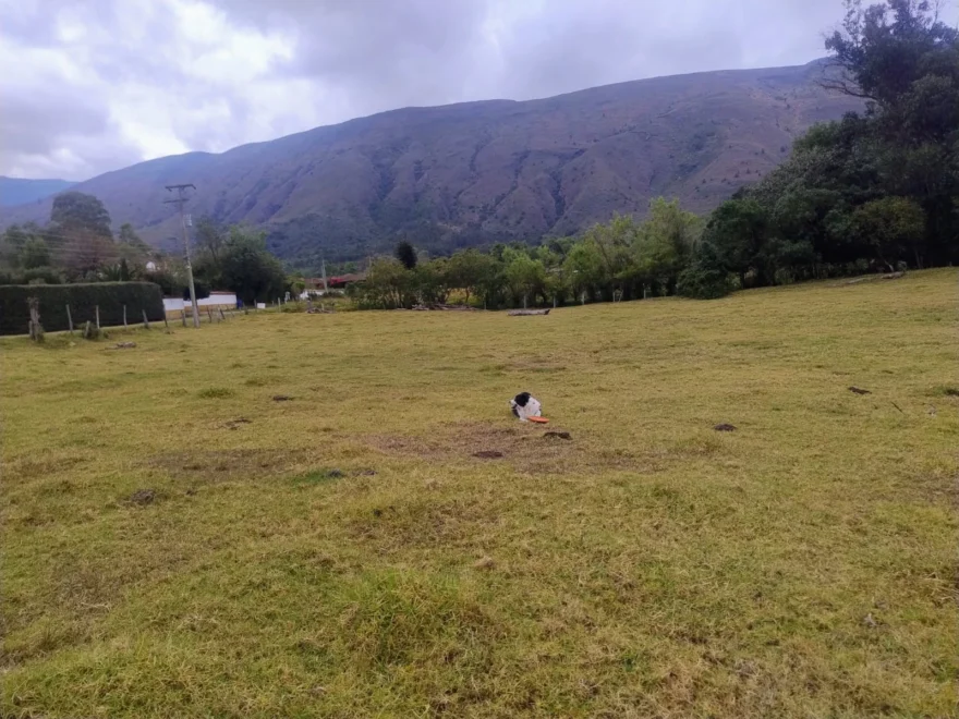 Lote en venta en Sector Gomar, Villa de Leyva