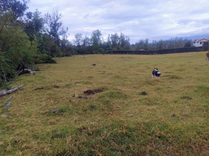 Lote en venta en Sector Gomar, Villa de Leyva – foto 3