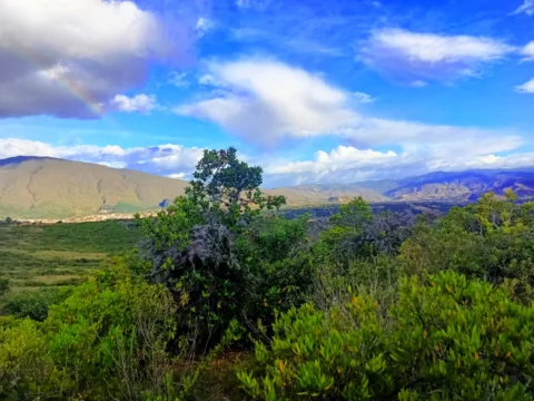Lote de 9.600 m² en venta en Altos de los Migueles, Villa de Leyva – foto 2