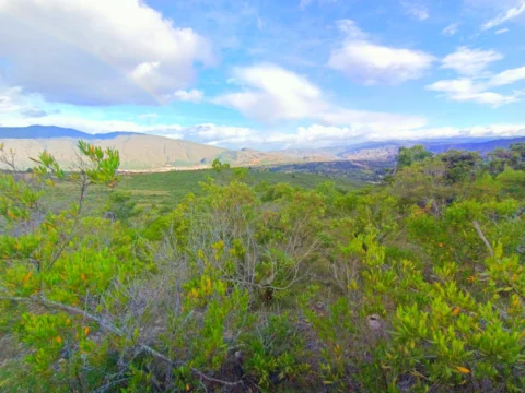 Lote de 9.600 m² en venta en Altos de los Migueles, Villa de Leyva – foto 3
