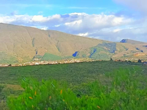Lote de 9.600 m² en venta en Altos de los Migueles, Villa de Leyva – foto 4