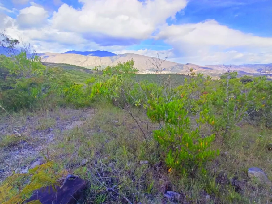 Lote de 9.600 m² en venta en Altos de los Migueles, Villa de Leyva – foto 5