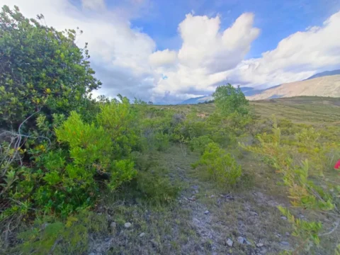 Lote de 9.600 m² en venta en Altos de los Migueles, Villa de Leyva – foto 8