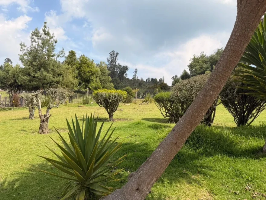4-bedroom house for sale in Altos de Yerbabuena, Chía – foto 4