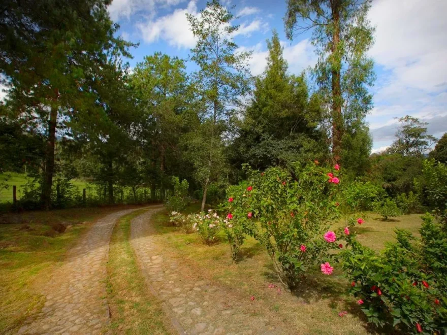 8,000 m² farm for sale in Villa de Leyva – foto 2