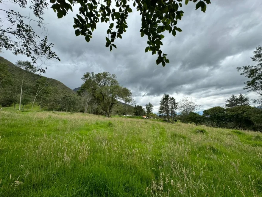 121,466 m² farm for sale in Villa de Leyva – foto 2