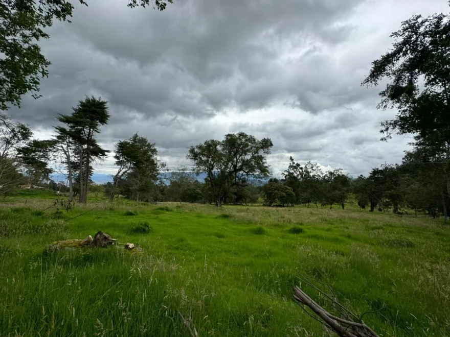 121,466 m² farm for sale in Villa de Leyva – foto 5