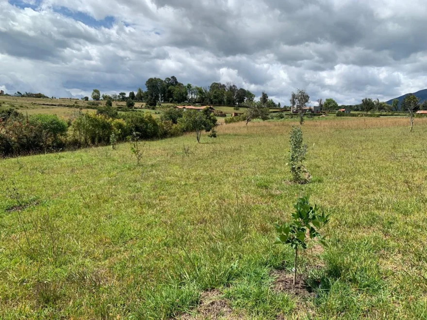 Lote de 4.300 m² en venta en Condominio Campestre San Telmo, Villa de Leyva